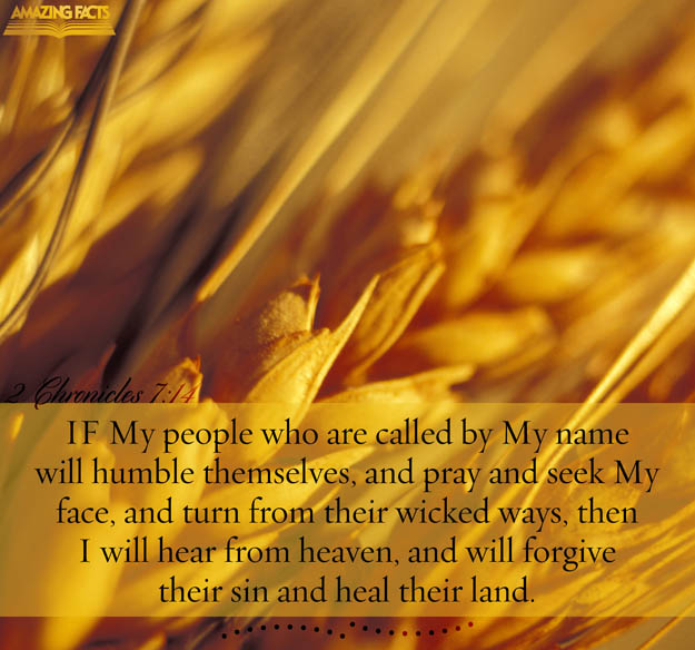 2-chronicles-7-14