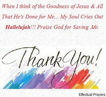 Thank you for saving me